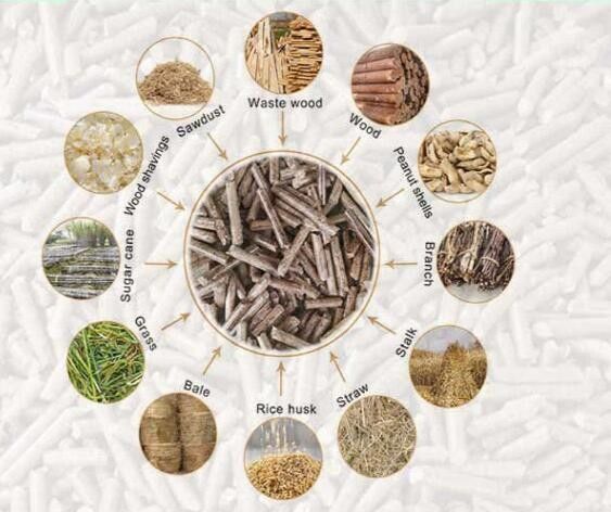 Mercado de pescado máquina de alimentación de pellets para animales con 55KW y 0,75KW de potencia de alimentación